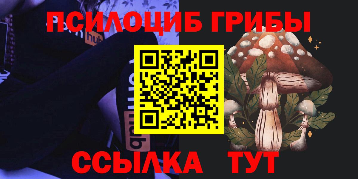 Дзержинский  как найти наркотики  Вход с VPN  Галлюциногенные грибы мухоморы  Галлюциногенные грибы Psilocybe 
